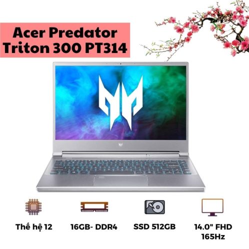 Acer Predator Triton 300 PT314