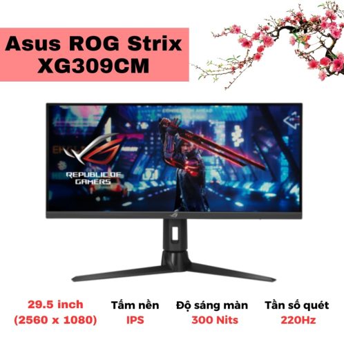 Asus ROG Strix XG309CM