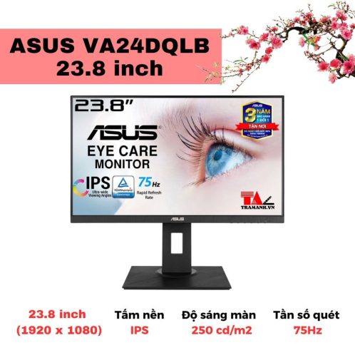 Màn hình ASUS VA24DQLB 23.8 inch