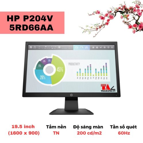 Màn hình HP P204V 5RD66AA