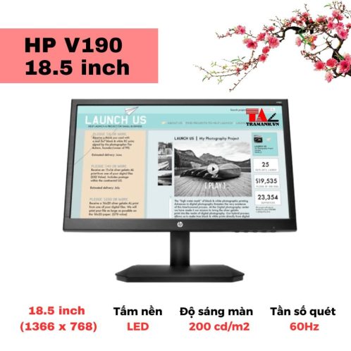 Màn hình HP V190 18.5 inch