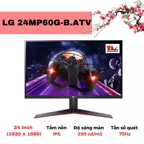 Màn hình LG 24MP60G-B.ATV