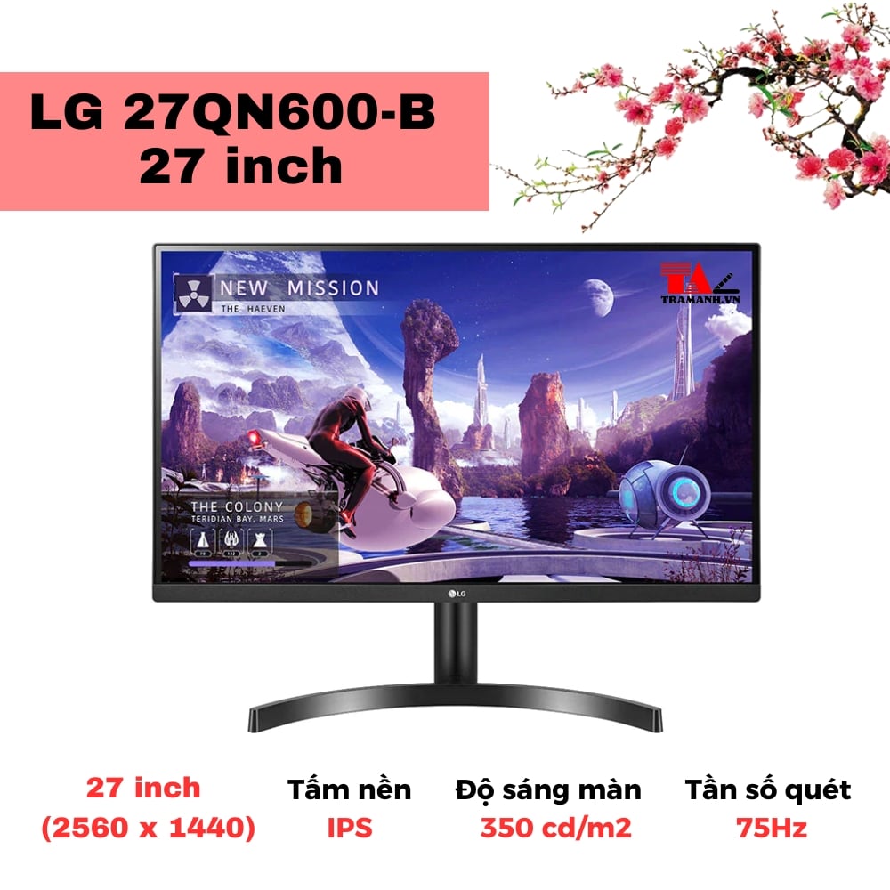 Màn hình LG 27QN600-B 27 inch Màn hình LG 27QN600-B 27 inch