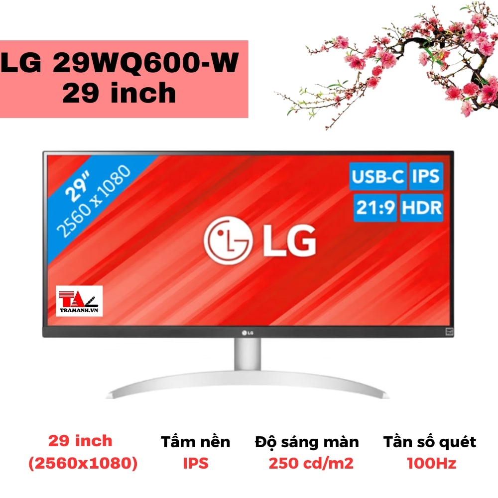 Màn hình LG 29WQ600-W 29 inch
