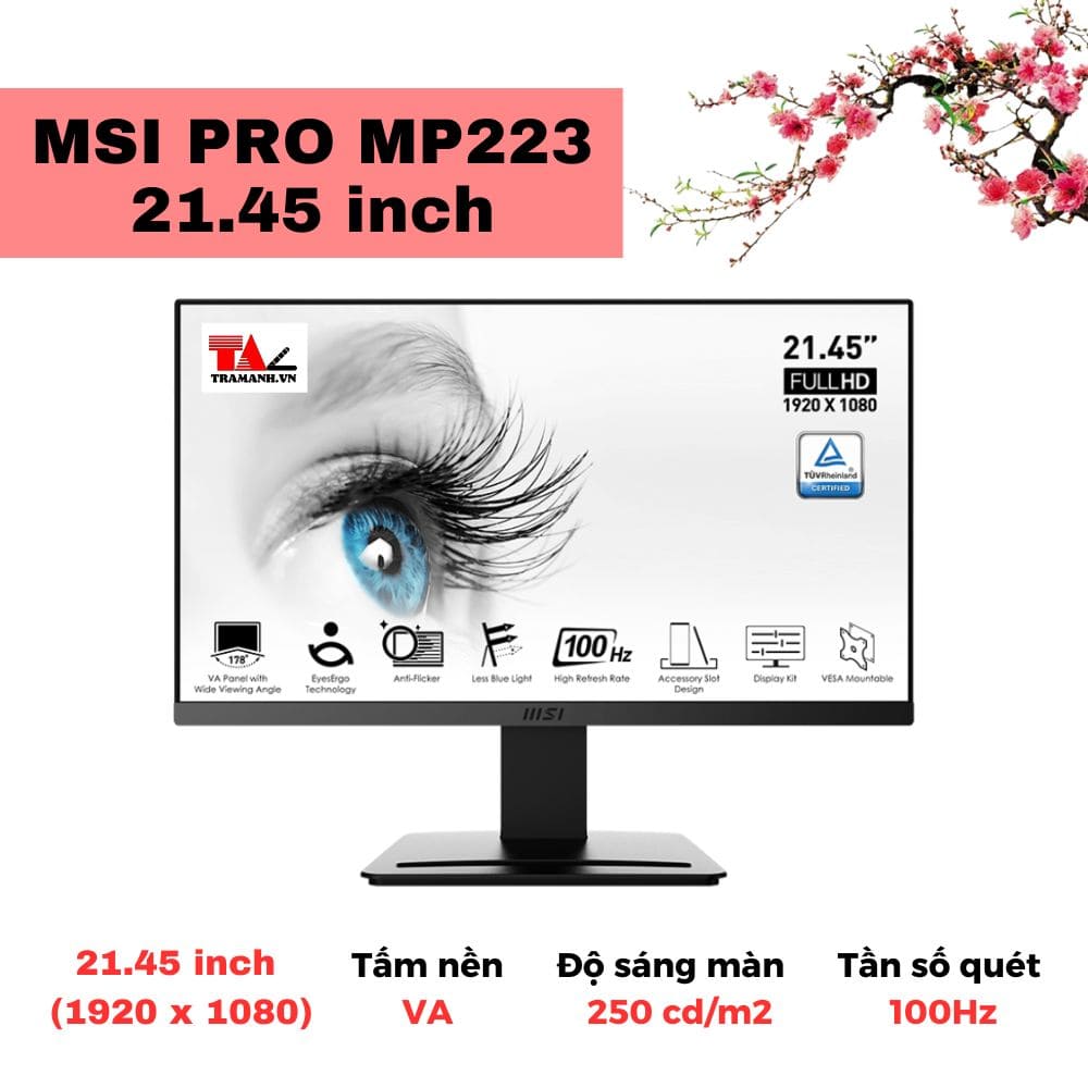Màn hình MSI PRO MP223 21.45 inch