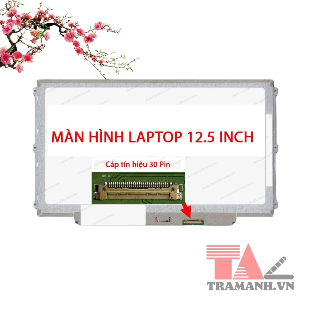 Màn hình Dell Latitude E5250