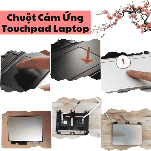 chuot-cam-ung-laptop