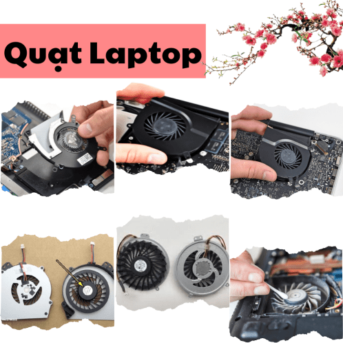 quat-laptop